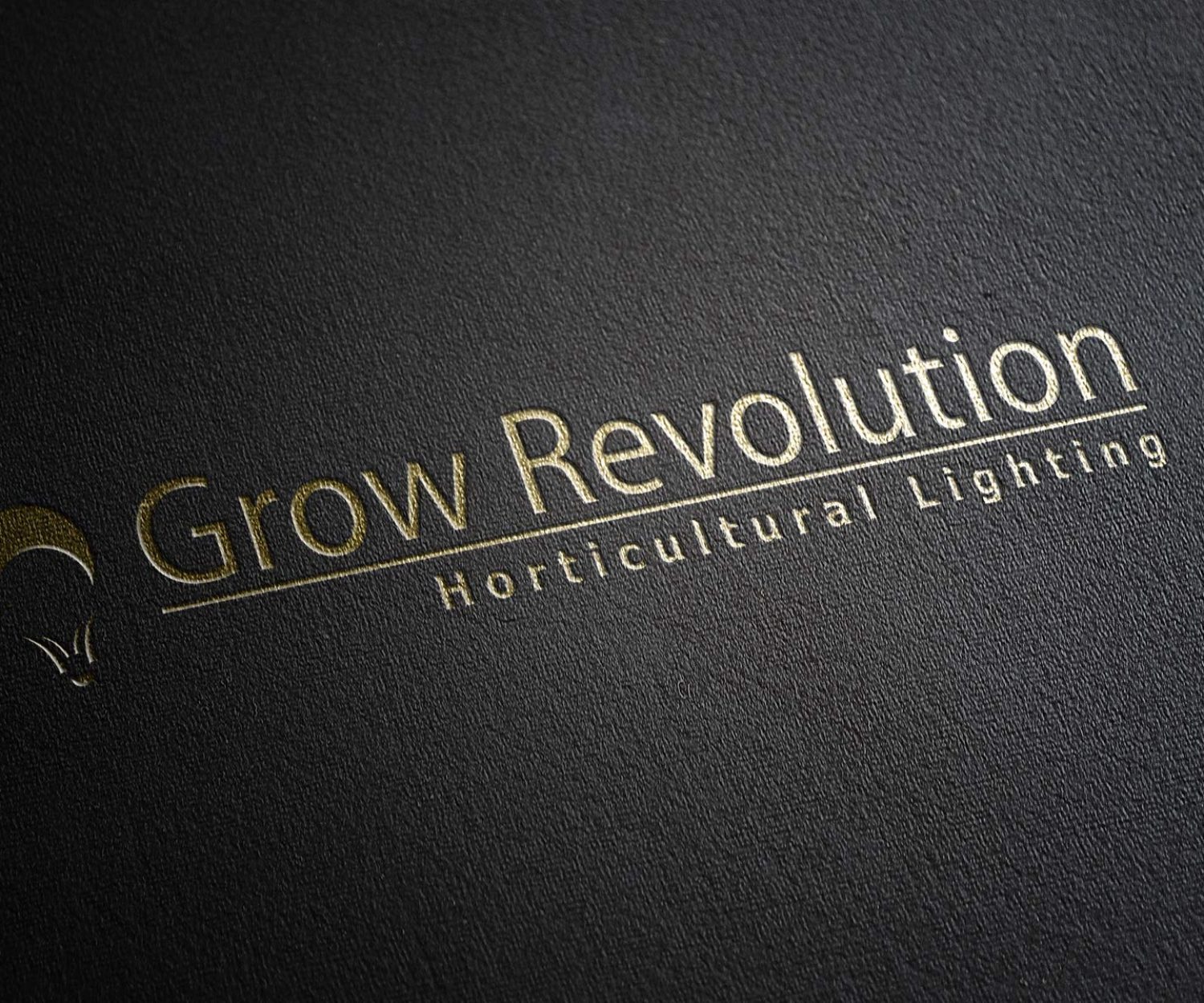 grow-revolution-picsoul-logo-design-montreal