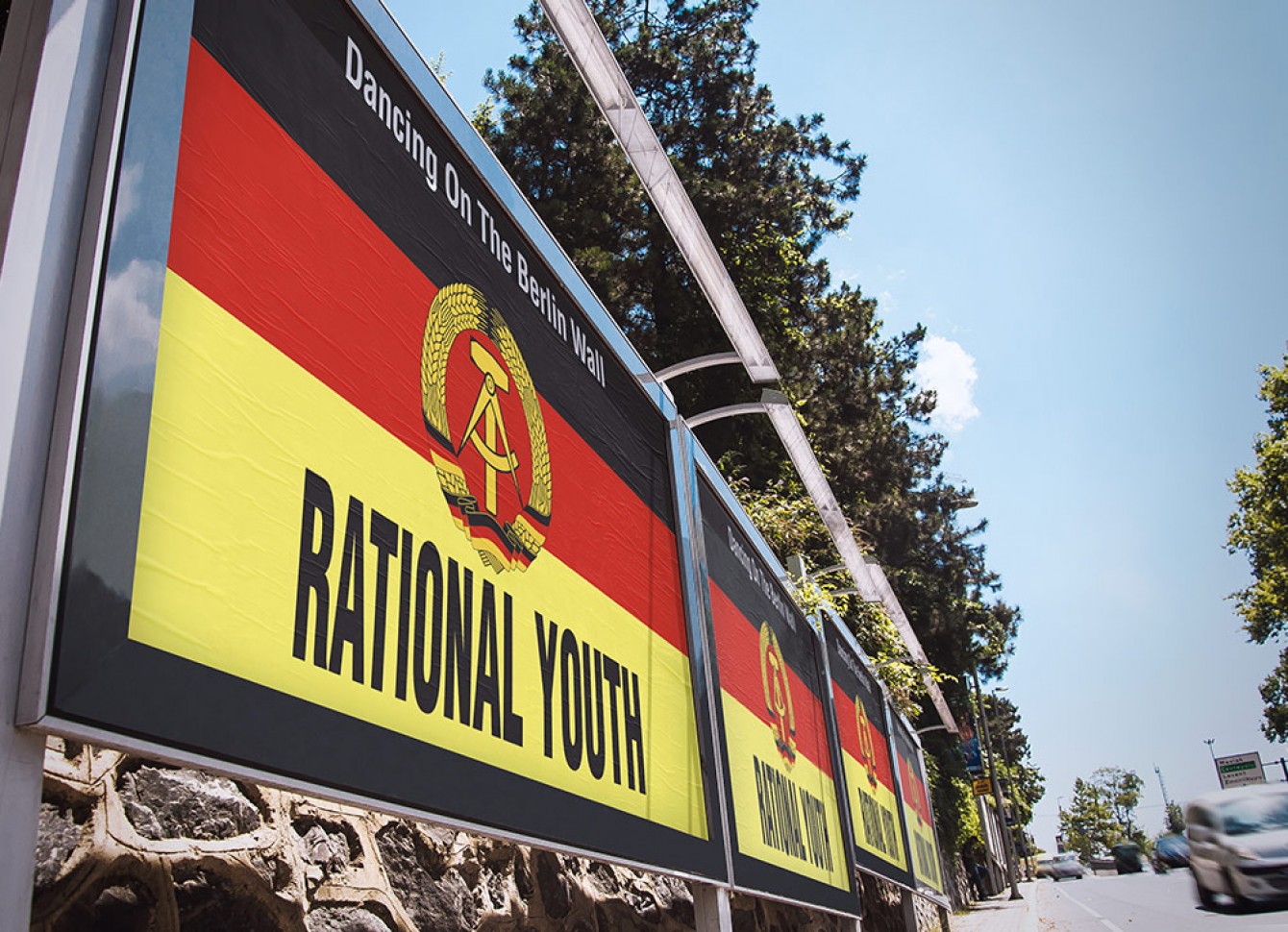 Rational Youth